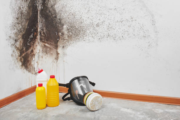 Crawl Space Mold Removal in Eugene, OR