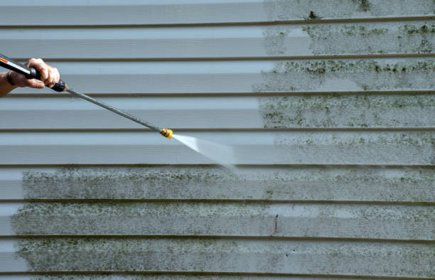 Best Mold Testing  in Eugene, OR