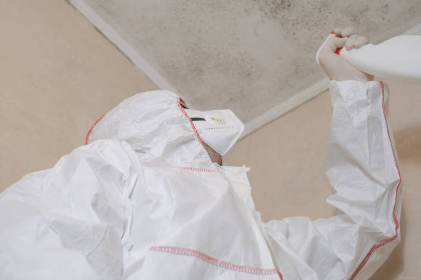 Best Mold Damage Repair  in Eugene, OR