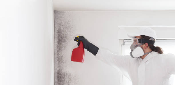 Best Office Mold Removal Services  in Eugene, OR