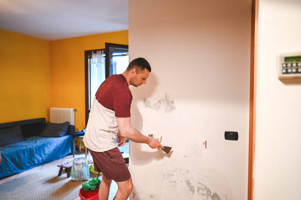 Best Mold Cleaning Services  in Eugene, OR